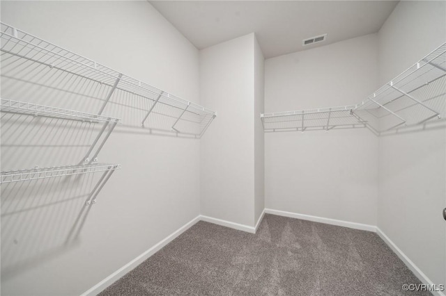 7013 Greenholm Pl, Chesterfield, VA 23234 - walk in closet with carpet