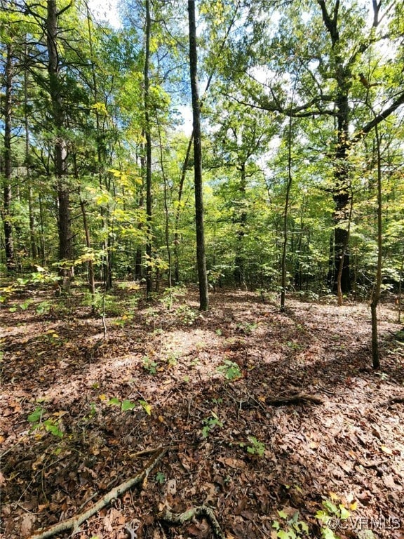 LOT1 Anderson Hwy, Cumberland, VA 23040