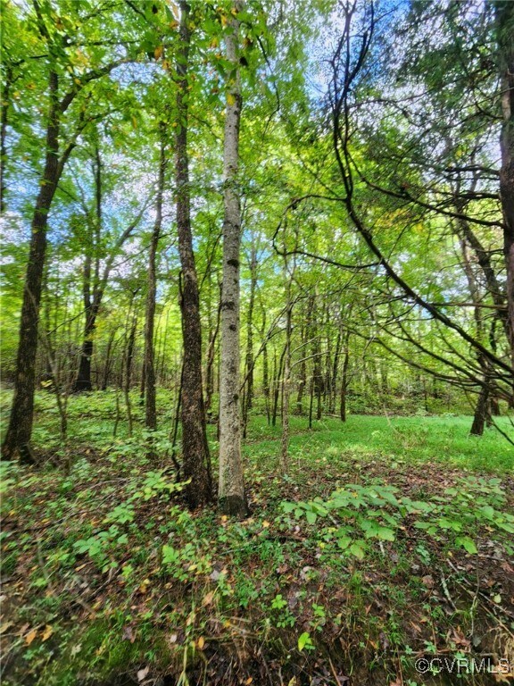 LOT1 Anderson Hwy, Cumberland, VA 23040