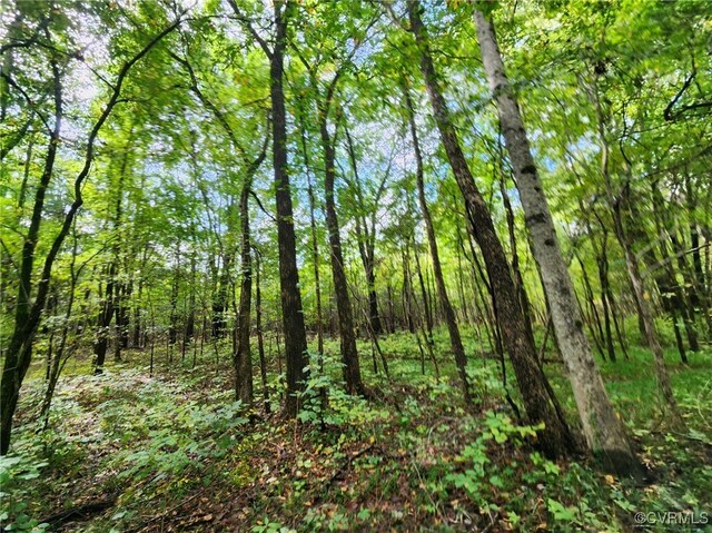 LOT1 Anderson Hwy, Cumberland, VA 23040