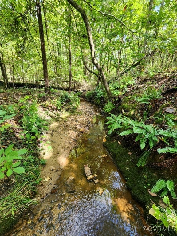 LOT1 Anderson Hwy, Cumberland, VA 23040