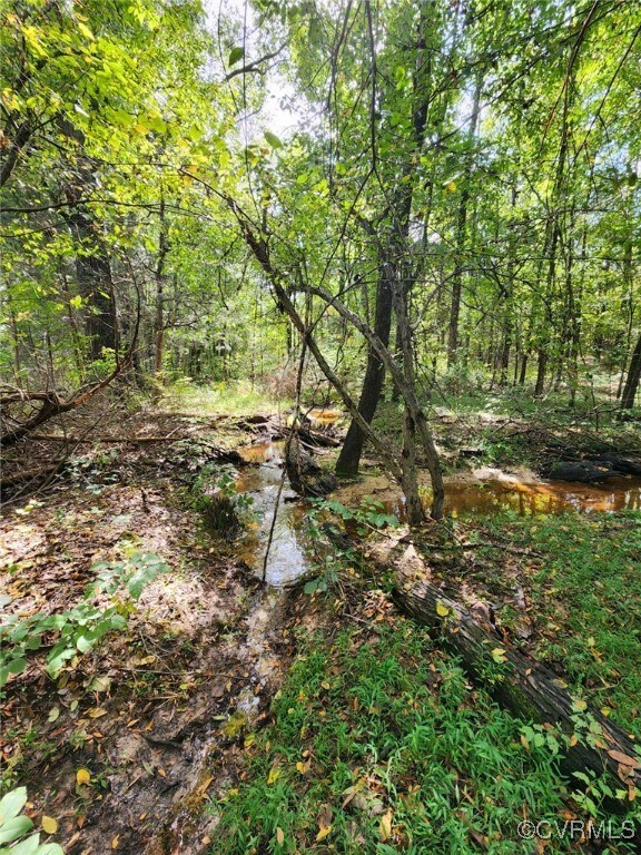 LOT1 Anderson Hwy, Cumberland, VA 23040