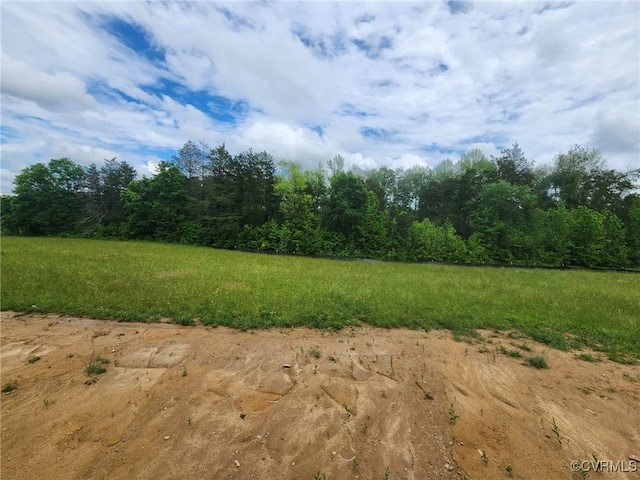 10940 Cross County Rd, Mineral, VA 23117 - view of undeveloped land