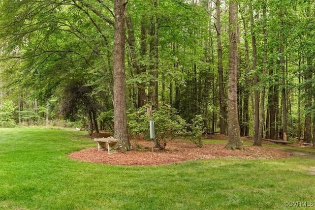 11216 Woodstock Heights Dr, Glen Allen, VA 23059 - view of grassy yard with a wooded view