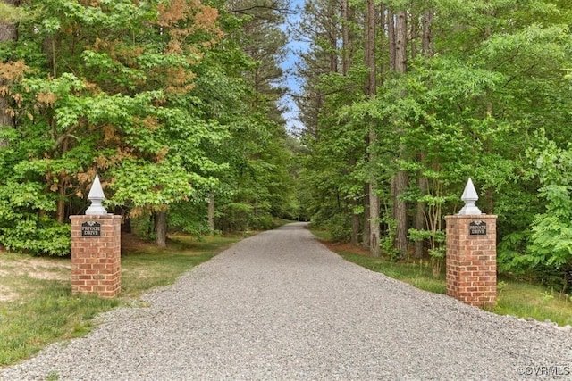 11216 Woodstock Heights Dr, Glen Allen, VA 23059 - view of property's community