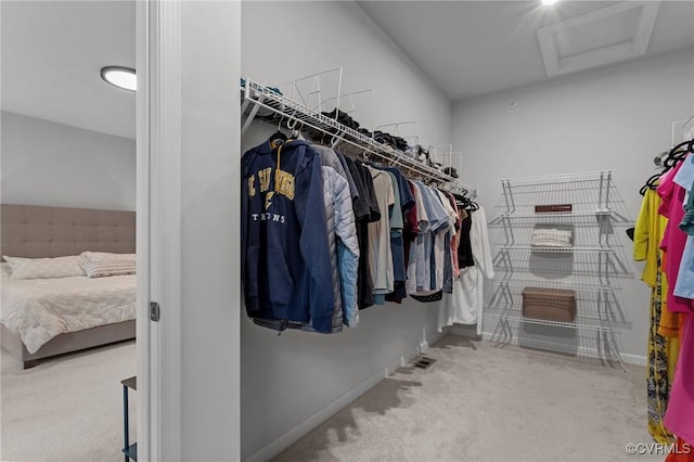 13285 Coalfield Station Ln, Midlothian, VA 23114 - spacious closet with attic access and carpet