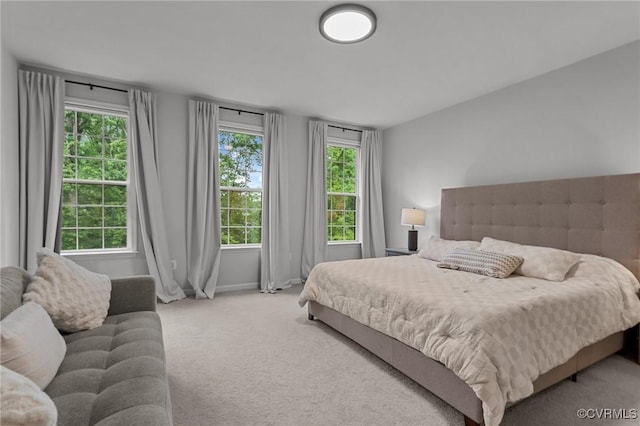 13285 Coalfield Station Ln, Midlothian, VA 23114 - bedroom featuring carpet and baseboards