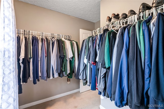 1112 Scotts Bottom Rd, Dillwyn, VA 23936 - walk in closet with carpet flooring