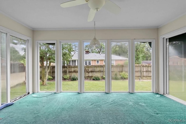 3304 N Marion Ave, Hopewell, VA 23860 - unfurnished sunroom with carpet flooring and ornamental molding