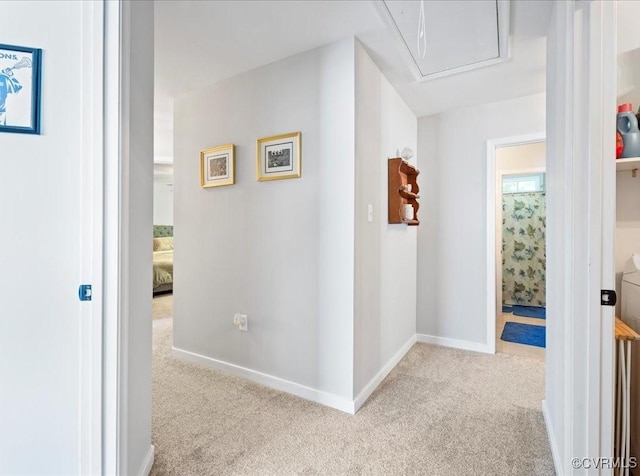 2013 Rose Family Dr, Midlothian, VA 23112 - hallway featuring carpet floors, baseboards, and attic access