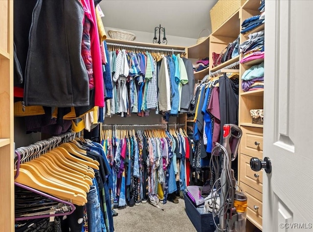 2013 Rose Family Dr, Midlothian, VA 23112 - spacious closet with carpet