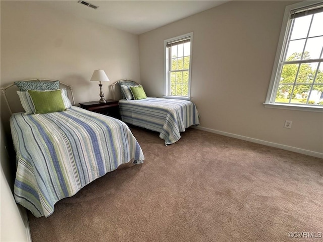 11441 Alder Glen Way, Glen Allen, VA 23059 - carpeted bedroom with multiple windows and baseboards