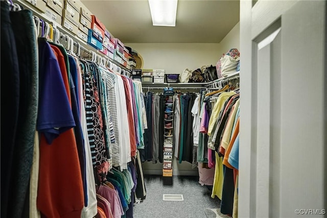 4329 Stebbins St, Chester, VA 23831 - spacious closet with carpet