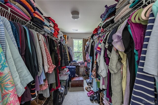 8421 Eden St, Henrico, VA 23228 - walk in closet featuring carpet floors