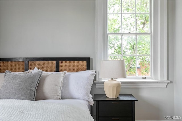 601 Roseneath Rd Unit U11, Richmond, VA 23221 - view of bedroom