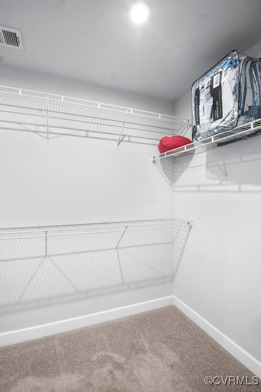 8136 Fedora Dr, Chesterfield, VA 23838 - walk in closet featuring carpet flooring