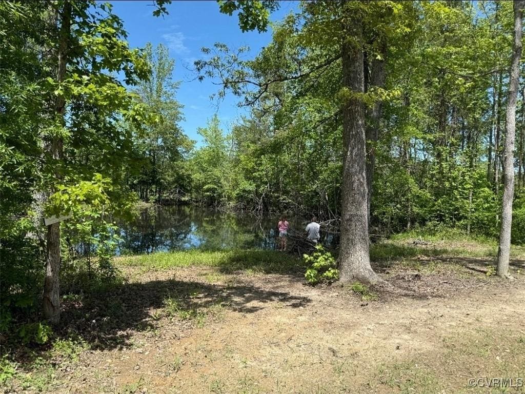 0 Walton Rd, Louisa, VA 23093