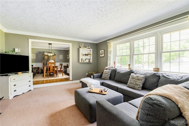 12387 Hanover Courthouse Rd, Hanover, VA 23069 - carpeted living area with crown molding and a textured ceiling