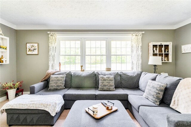 12387 Hanover Courthouse Rd, Hanover, VA 23069 - living room with crown molding, healthy amount of natural light, and a textured ceiling