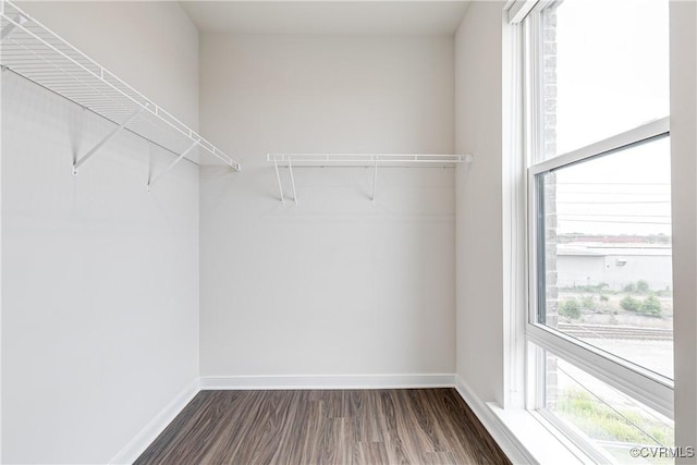 1900 Roseneath Rd Unit 9A, Richmond, VA 23230 - spacious closet featuring dark wood-style flooring