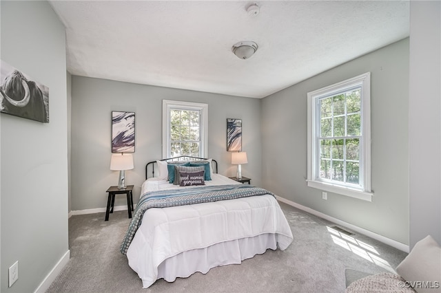 524 Highland Ave, Colonial Heights, VA 23834 - bedroom with multiple windows, baseboards, and carpet floors
