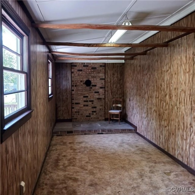 4846 Stanley Dr, Chesterfield, VA 23234 - below grade area with wooden walls and carpet flooring