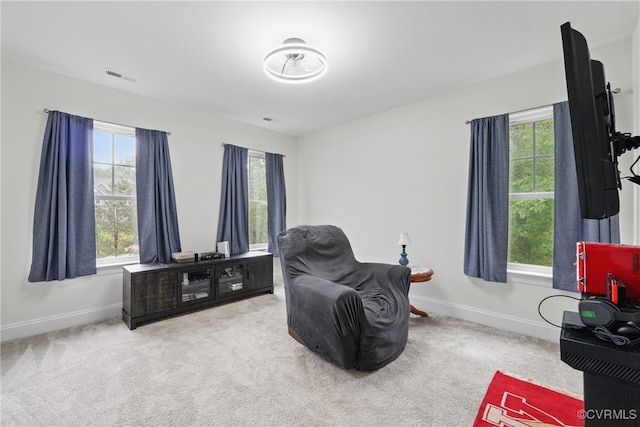 5681 Saint Leger Dr, Providence Forge, VA 23140 - living area with plenty of natural light, baseboards, and carpet flooring