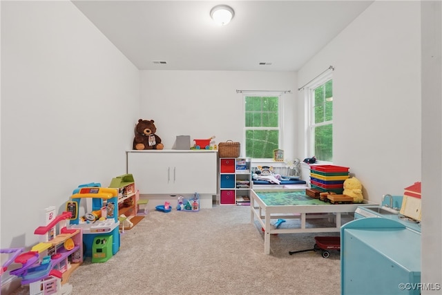 5681 Saint Leger Dr, Providence Forge, VA 23140 - rec room with carpet