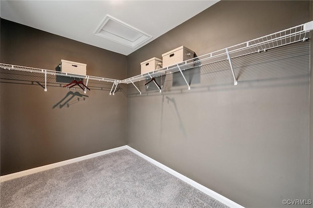 5904 Banyan Ln, Chesterfield, VA 23234 - spacious closet featuring attic access and carpet floors