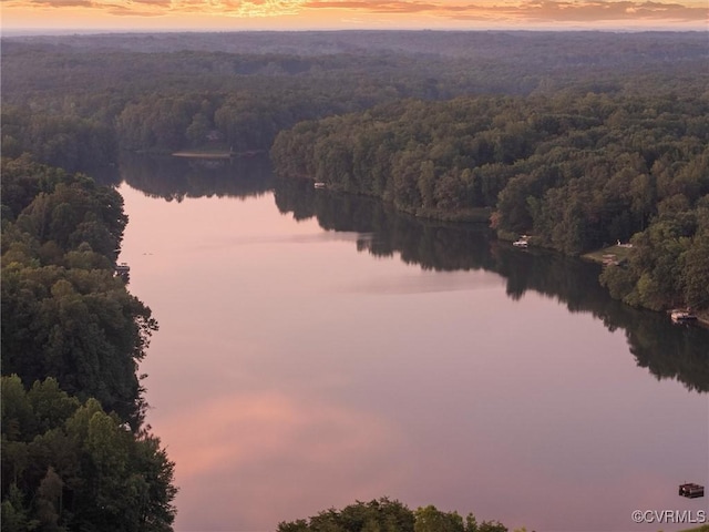 1280 Mill Quarter Rd, Powhatan, VA 23139 - water view with a heavily wooded area