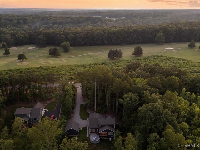 1280 Mill Quarter Rd, Powhatan, VA 23139 - aerial view at dusk of a forest view