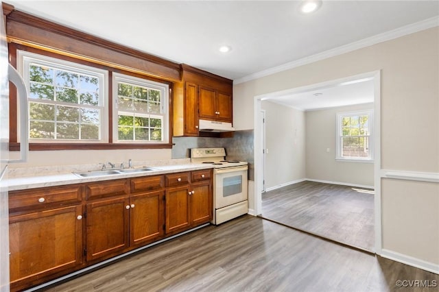 3507 Howard Rd, Henrico, VA 23223 - kitchen featuring white range with electric cooktop, under cabinet range hood, crown molding, wood finished floors, and light countertops