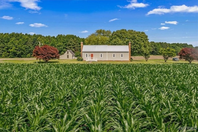 35161 Owens Grove Rd, Waverly, VA 23890 - view of yard