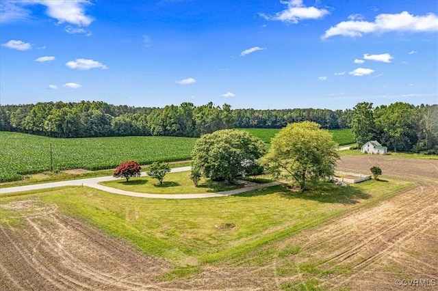 35161 Owens Grove Rd, Waverly, VA 23890 - view of rural area featuring a heavily wooded area and farmland