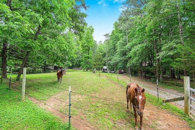 15019 Quaker Church Rd, Montpelier, VA 23192 - view of yard with a view of countryside