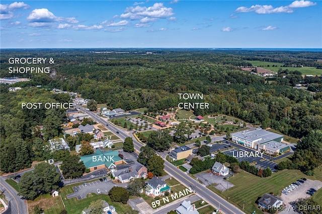 89 N Main St, Kilmarnock, VA 22482 - drone / aerial view of a forest