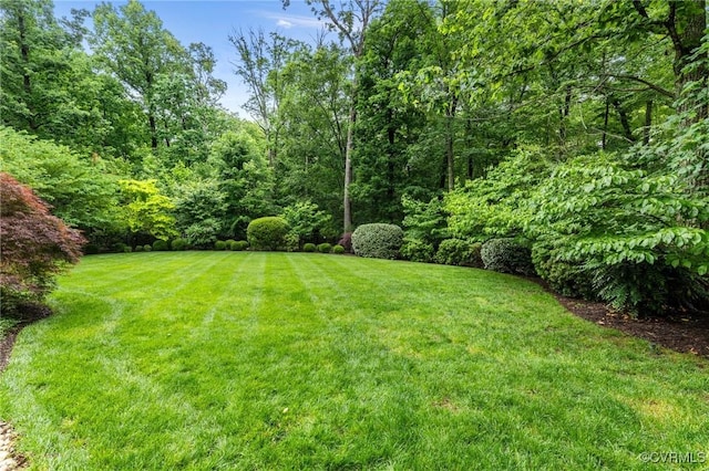 view of green lawn