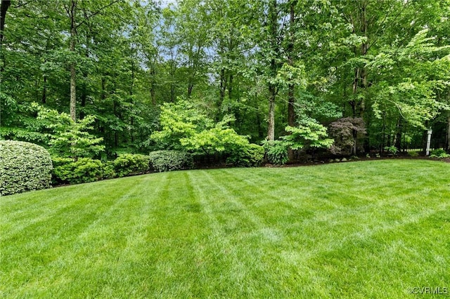 view of green lawn