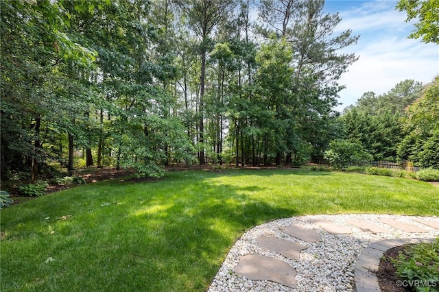 11600 Heverley Ct, Henrico, VA 23059 - photo 38