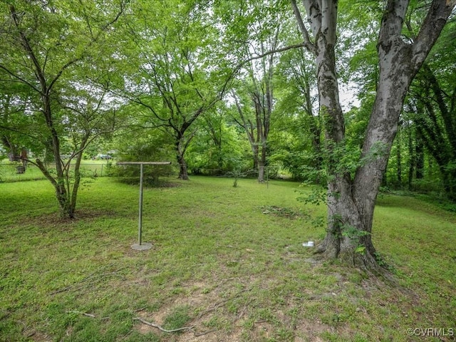 2201 Cheatham St, Richmond, VA 23234 - photo 18