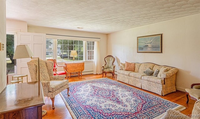 68 Family Ln, Cobbs Creek, VA 23035 - living area with wood finished floors and a baseboard radiator