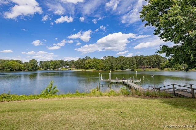 68 Family Ln, Cobbs Creek, VA 23035 - water view with a dock and a forest