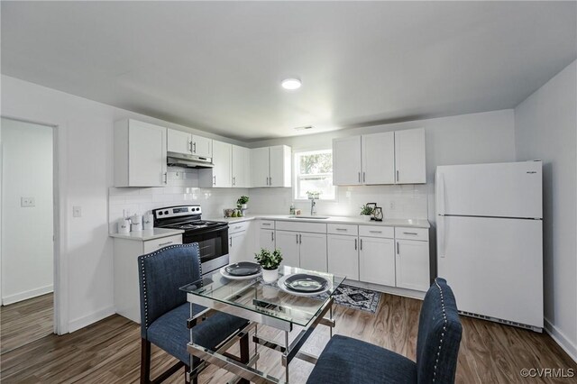 314 Maryland Ave, Hopewell, VA 23860 - kitchen with freestanding refrigerator, stainless steel range with electric stovetop, a sink, under cabinet range hood, and backsplash