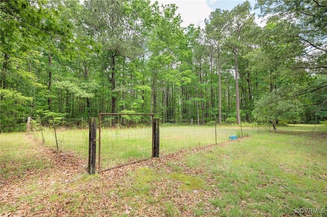 view of yard with a wooded view