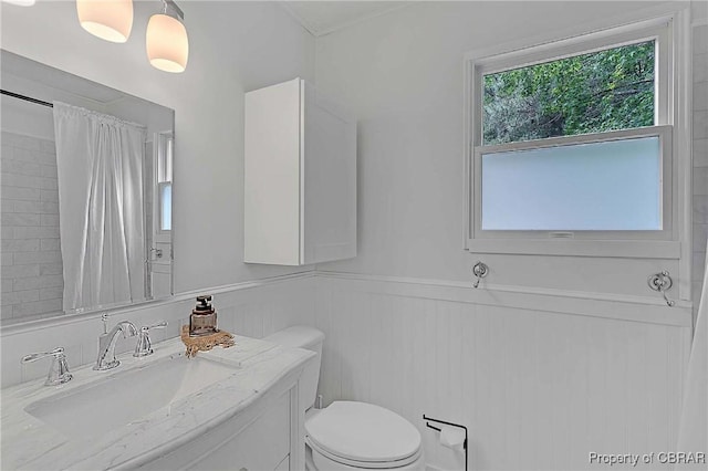 2480 Lees Neck Farm Rd, Saluda, VA 23149 - full bath featuring toilet, wainscoting, a shower with curtain, and vanity