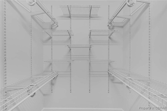2480 Lees Neck Farm Rd, Saluda, VA 23149 - view of walk in closet