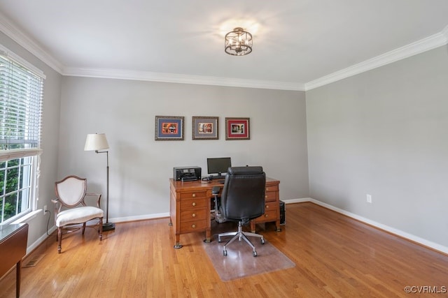 office featuring wood finished floors, baseboards, and crown molding