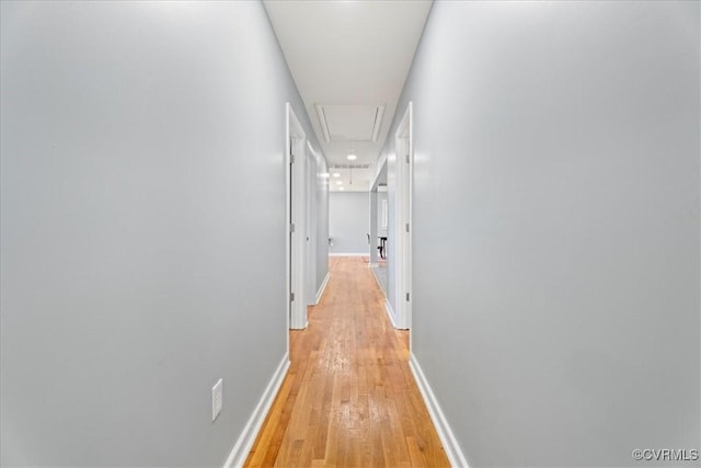 2519 Deerfield Dr, Petersburg, VA 23805 - corridor with attic access, light wood finished floors, and baseboards