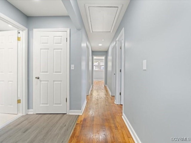 2519 Deerfield Dr, Petersburg, VA 23805 - hall featuring attic access, light wood finished floors, and baseboards