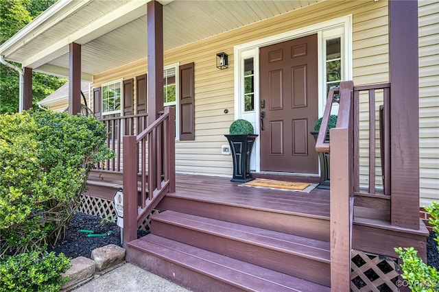 7107 Dortonway Pl, Chesterfield, VA 23832 - property entrance featuring covered porch